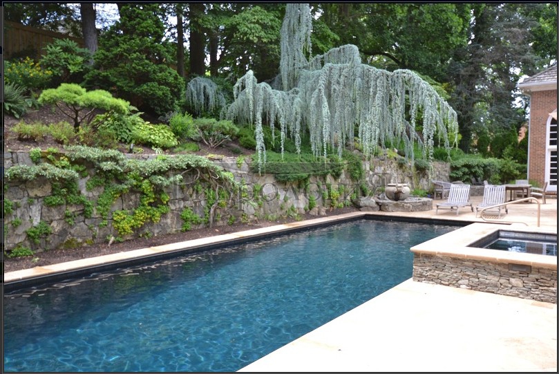 townandcountrypools com 14.jpg