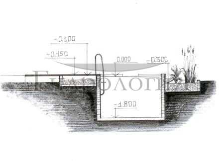 Рощино 2 вид 001.jpg