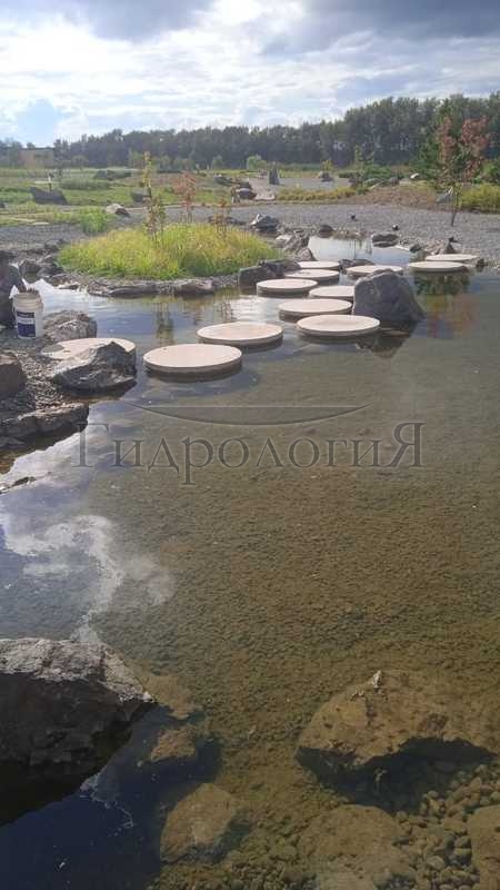vishenki.yapsad.2023.1185.JPG