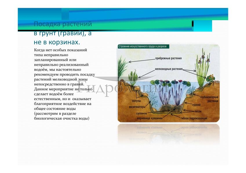 Презентация Гидрология-040.jpg