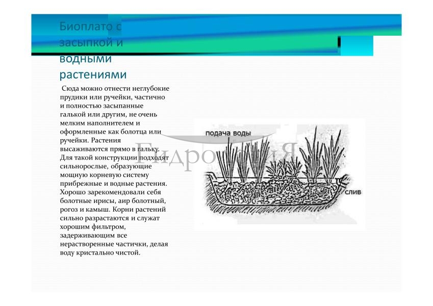 Презентация Гидрология-080.jpg