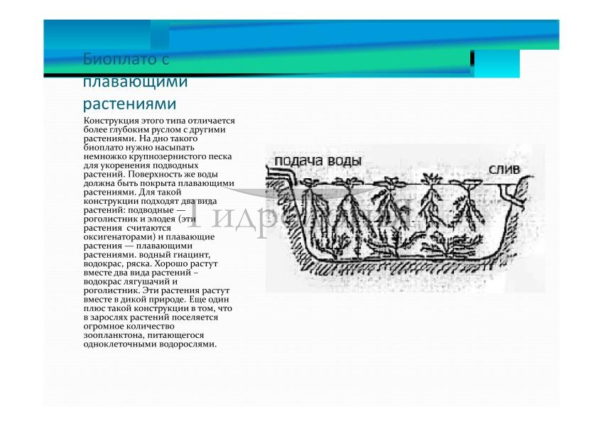 Презентация Гидрология-081.jpg