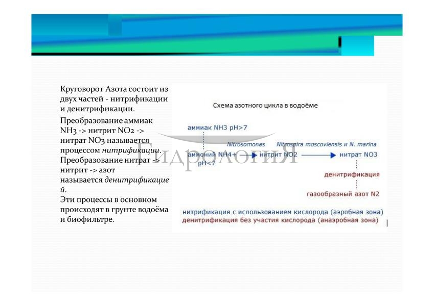 Презентация Гидрология-086.jpg