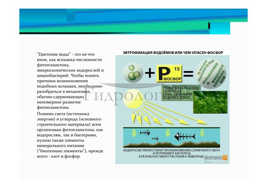 Презентация Гидрология-093.jpg