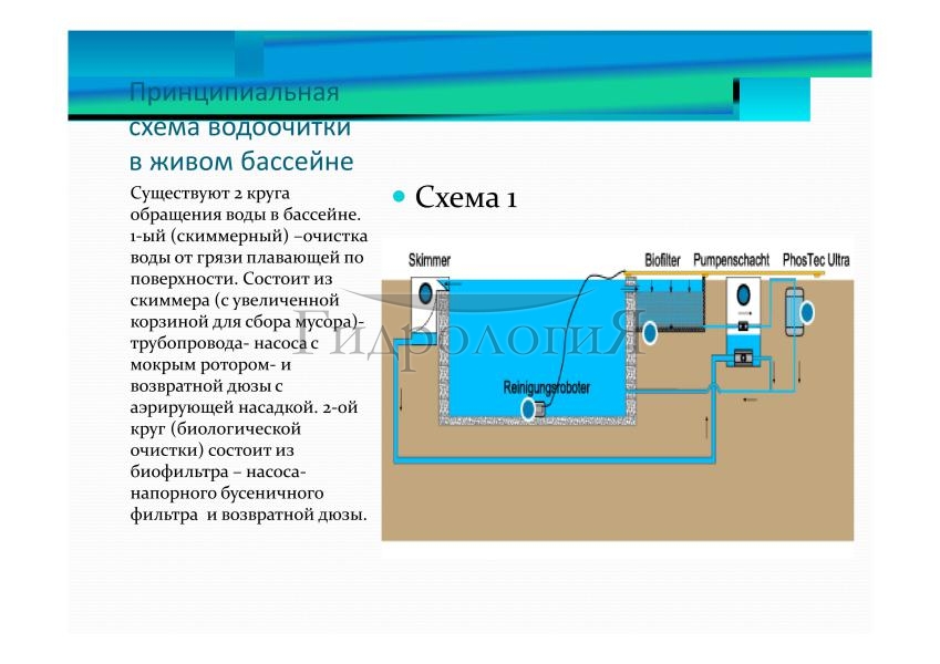 Презентация Гидрология-104.jpg