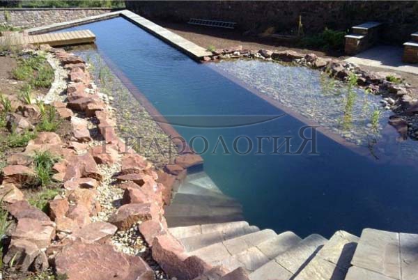 Clear Water02.jpg