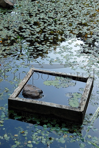 Pond3.jpg
