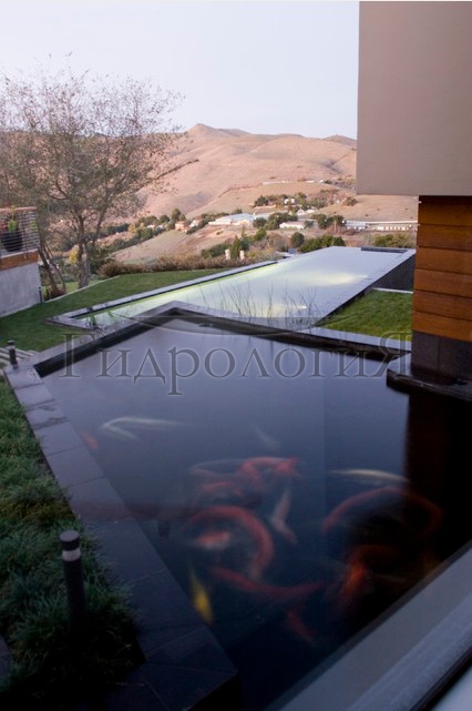modernhousearchitects com 01.jpg