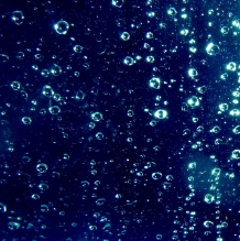 Определение количества содержания кислорода в воде искусственного водоёма
