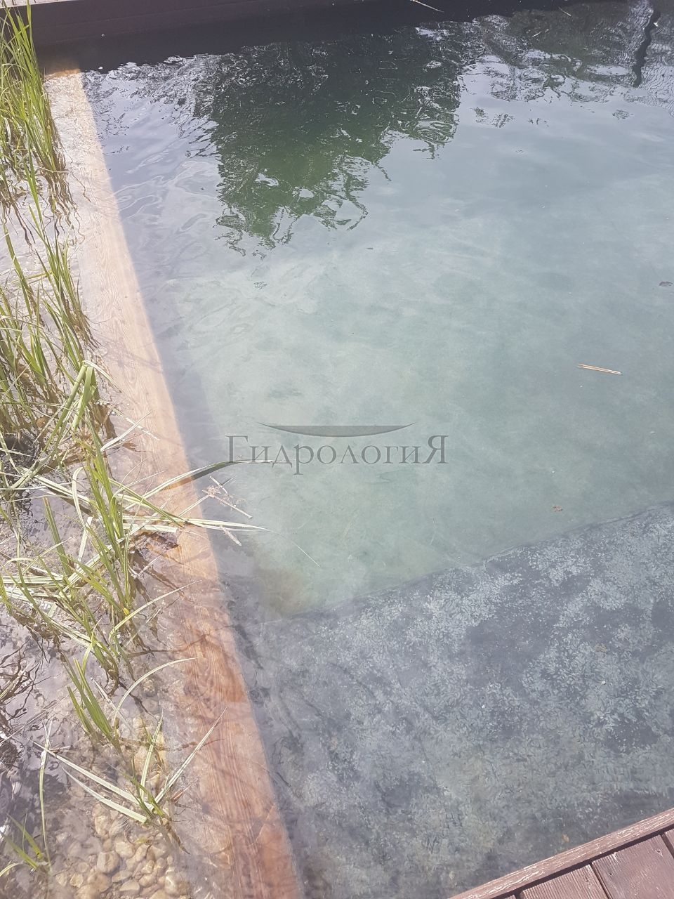 Плавательный водоём в Пскове.