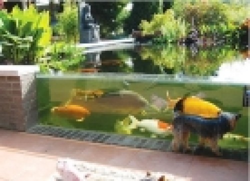 Садовые аквариумы - новая статья